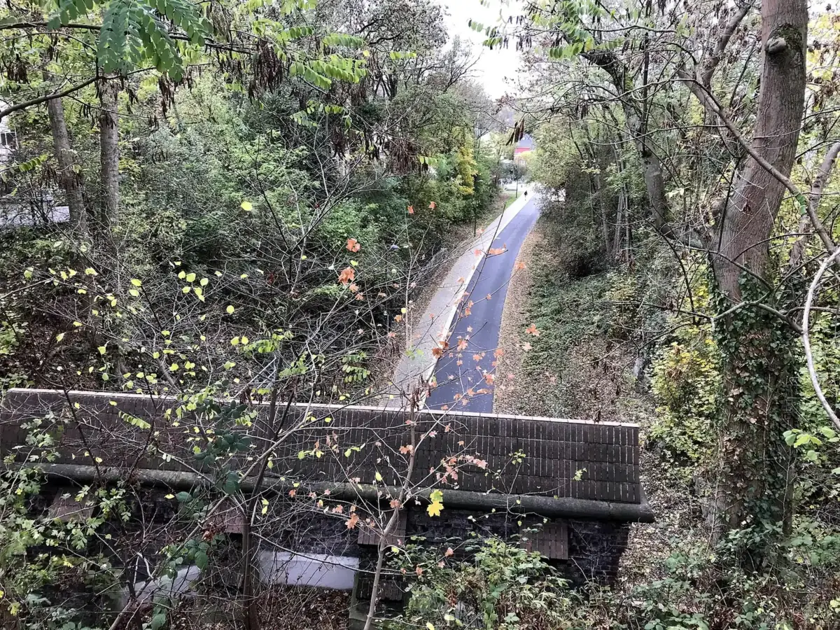Die Nordbahntrasse in Wuppertal: Rad- und Fußweg auf einer ehemaligen Bahnstrecke zwischen herbstlichen Bäumen